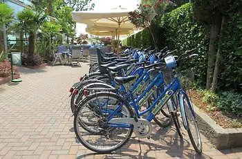 Hotel Du Lac Et Bellevue Bardolino 4*,